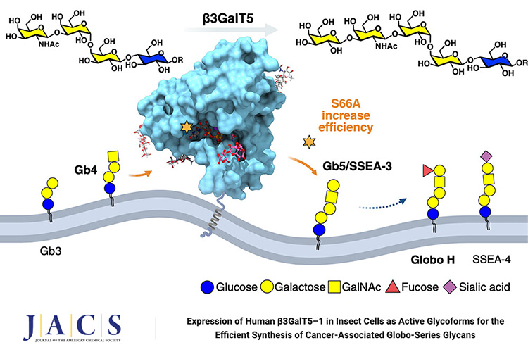 馬徹翁啟惠20250325