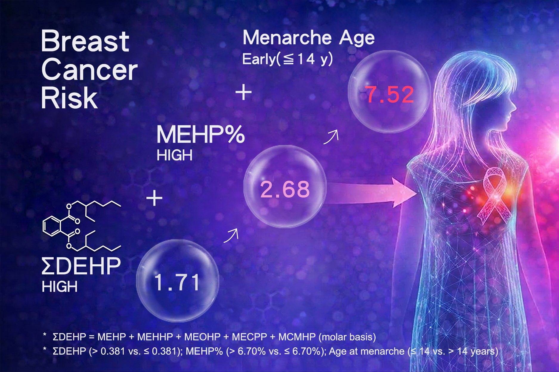 High DEHP exposure increases breast cancer risk by 1.71x. Combined with high metabolic susceptibility, the risk rises to 2.68x. When paired with early menarche (≤14), these synergistic effects skyrocket the risk to 7.52x, highlighting the profound impact of environmental hormones and individual metabolic variations