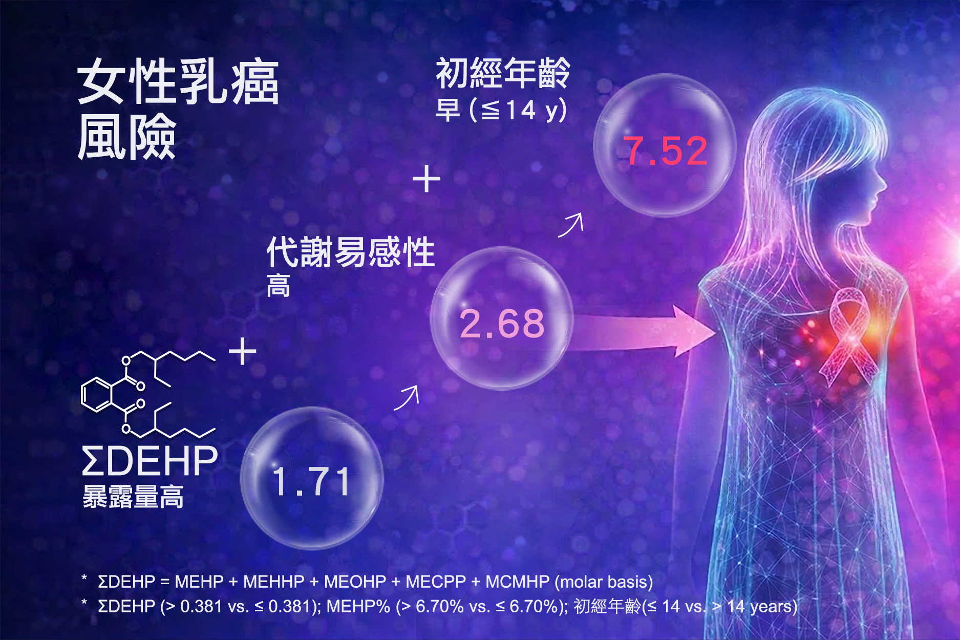當 DEHP 暴露量高，乳癌風險為 1.71 倍；若併同代謝易感性高，風險升至 2.68 倍；再加上初經早，三者加乘將使風險飆升至 7.52 倍。從「環境暴露量」結合「個體代謝差異」的精準評估，為未來乳癌風險評估提供新的切入點。