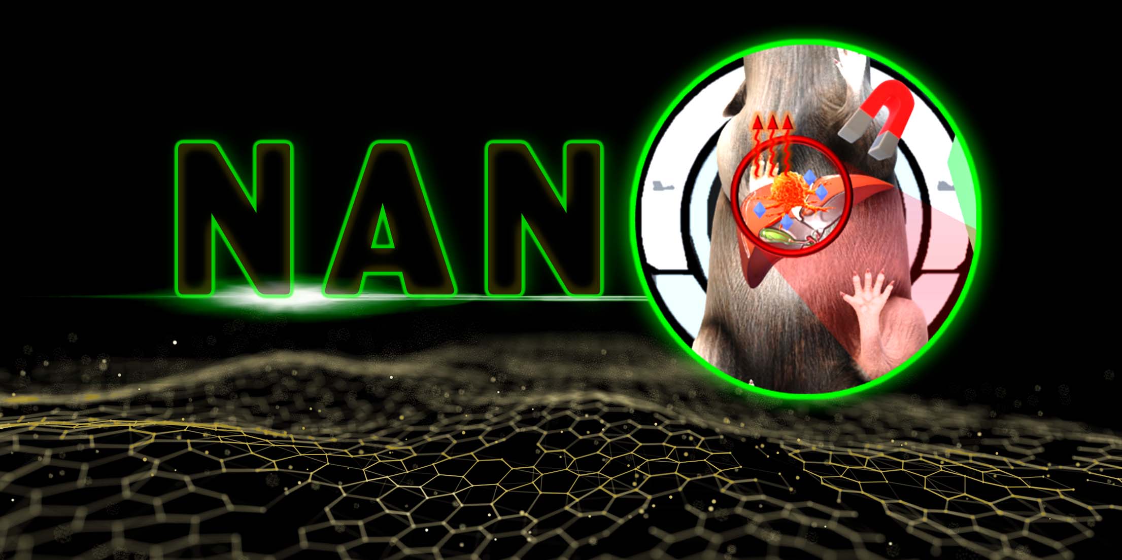 Novel MMT-based iron/platinum nanoparticles designed to enhance MRI contrast and HCC treatment