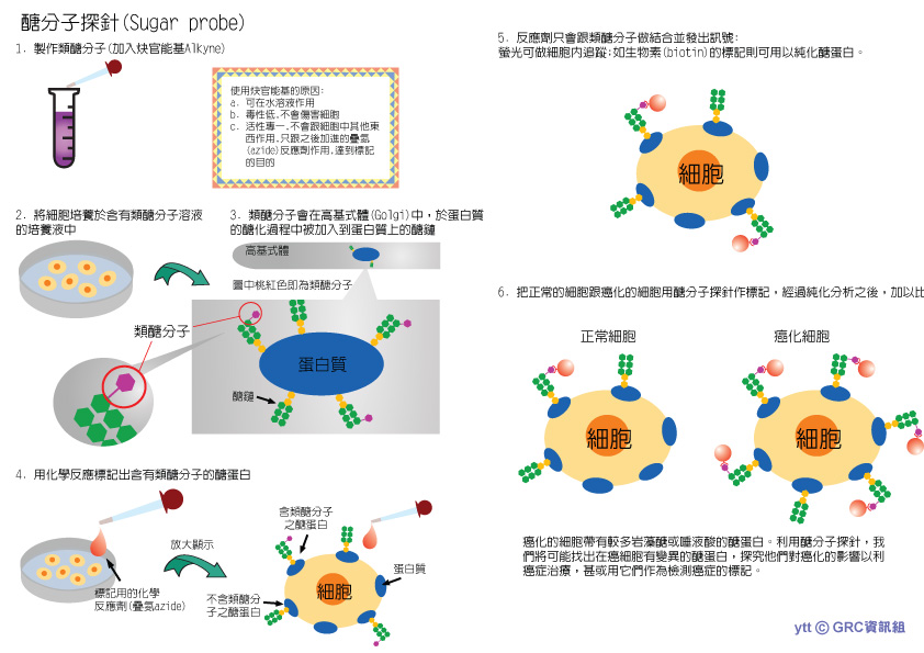 Powerful Sugar Probes and Sugar Chips for Tracking Protein Glycosylation