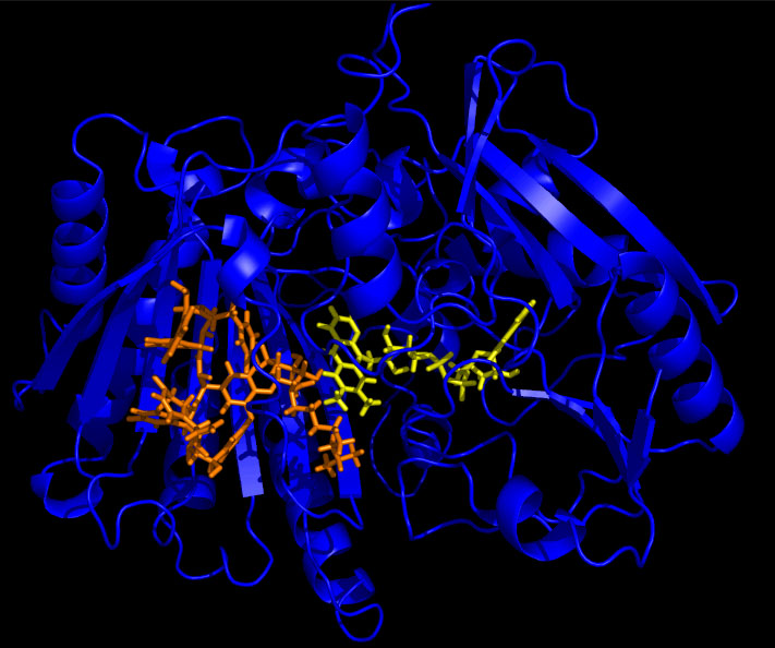 Functional Genomics Team Developed Recipes to Generate Key Enzymes in Making Better Antibiotics