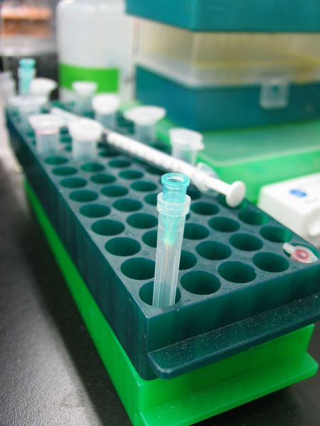 Discovery Of Antibiotics to Tackle the Problem of Drug Resistance