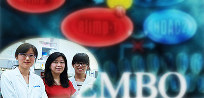 Lin’s Lab Unravels the Pathway of Plasma Cells