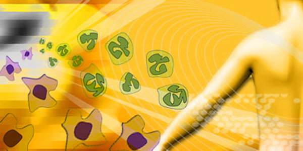 Blimp-1 is a crucial gatekeeper in epidermal immunity