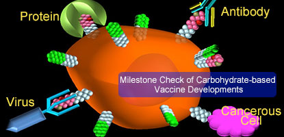 Milestone Check of Carbohydrate-based Vaccine Developments