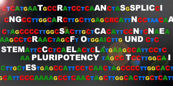 TSscan Successfully Pinpoints Trans-splicing RNA Which Proved Crucial in Maintaining Pluripotency of Human Embryonic Stem Cells