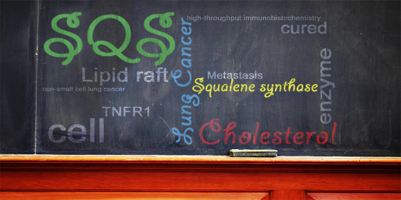 Cholesterol Synthesis Enzyme Proved Suspect in Lung Cancer Metastasis
