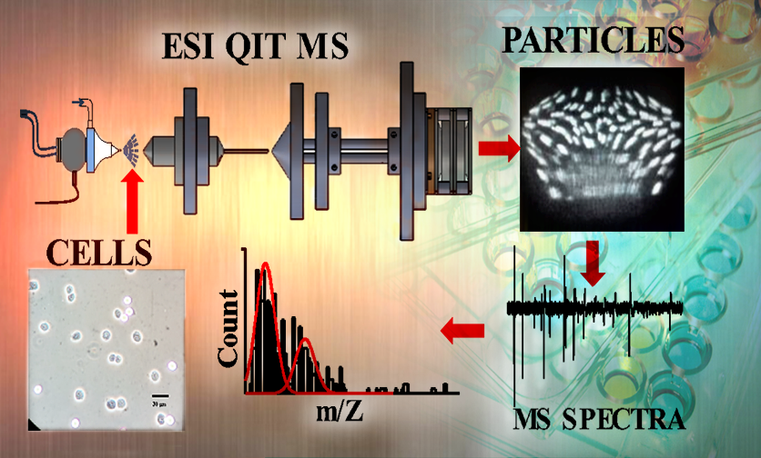 A New Mobile Device to Measure Bio-particles Rapidly