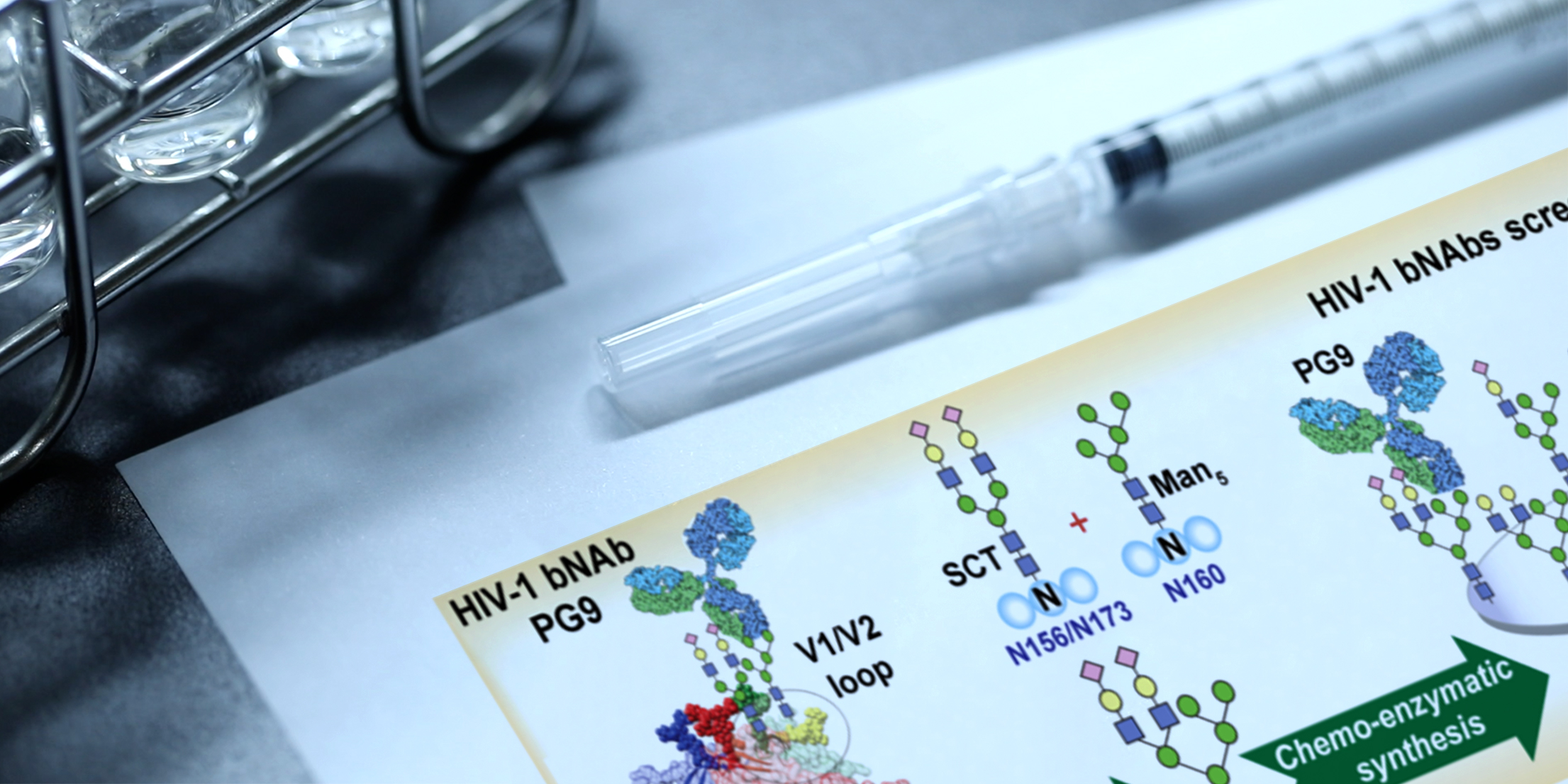 Promising HIV Vaccine Development Glycans Identified