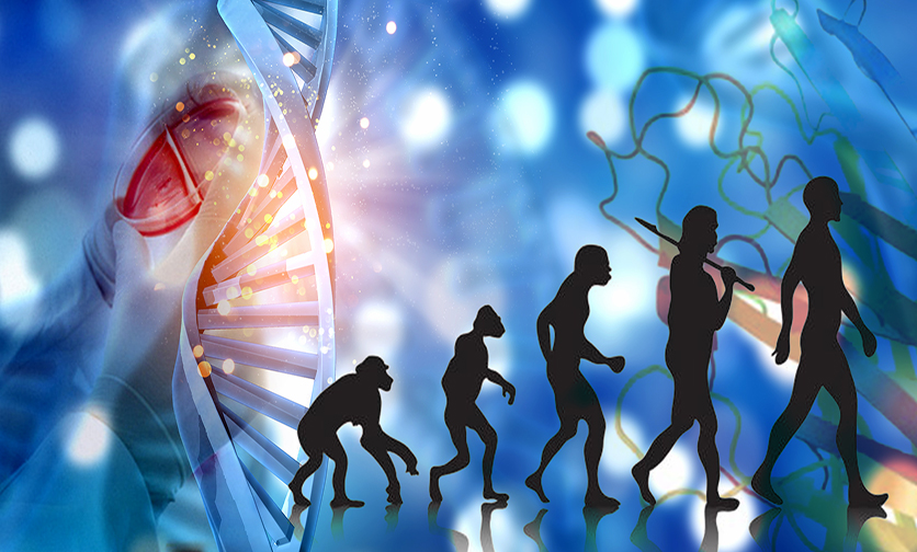 How Can You Mend a Broken Cell: Let Experimental Evolution Show You How