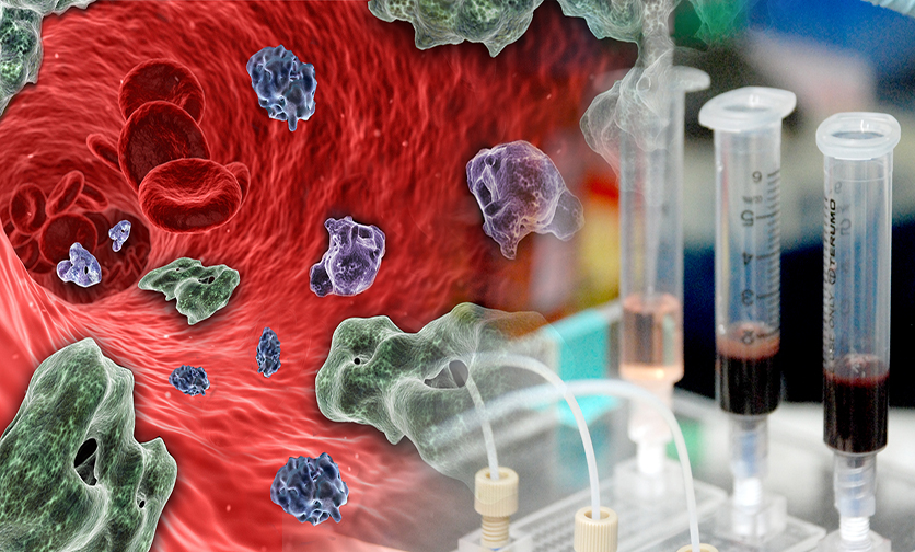 Circulating Cancer Detection Tool Validated Clustering Key to Metastasis of Head & Neck Cancers