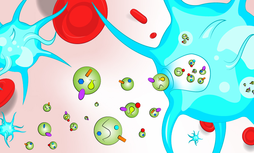 Exosome Proved a Rebel in Dengue Invasion
