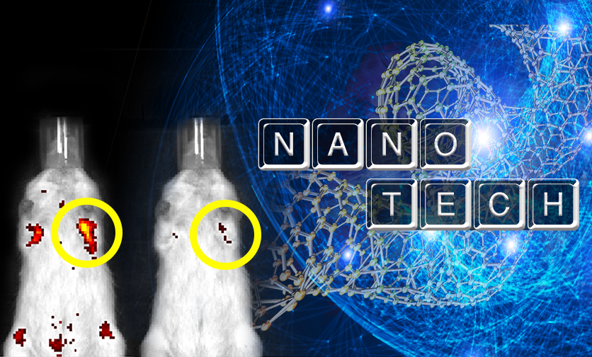 Novel Nanomaterial Makes Targeted Lung Cancer Cells Evincible On Living Mice