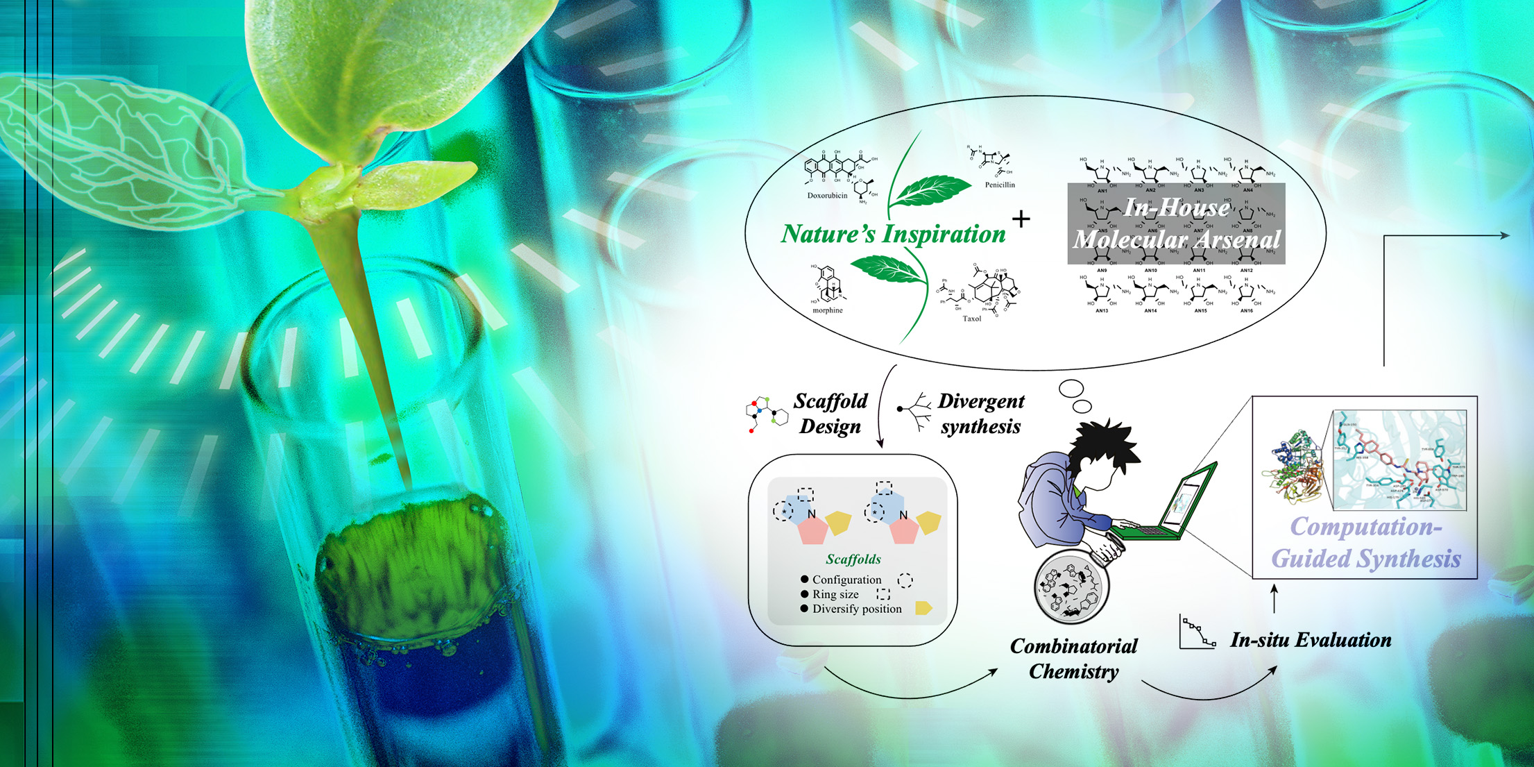 Chemists restructure an old natural product: Discovery a highly specific Golgi α-mannosidase inhibitor as a new anticancer agent