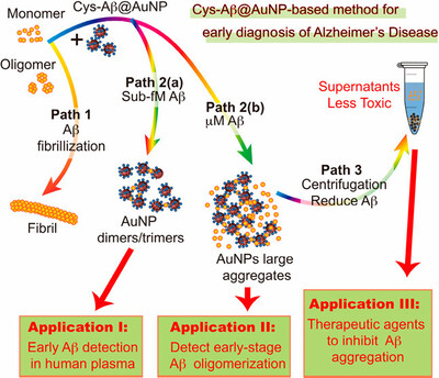 Detection of Femtomolar Amyloid-β Peptides for Early-Stage Identification of Alzheimer’s Amyloid-β Aggregation with Functionalized Gold Nanoparticles