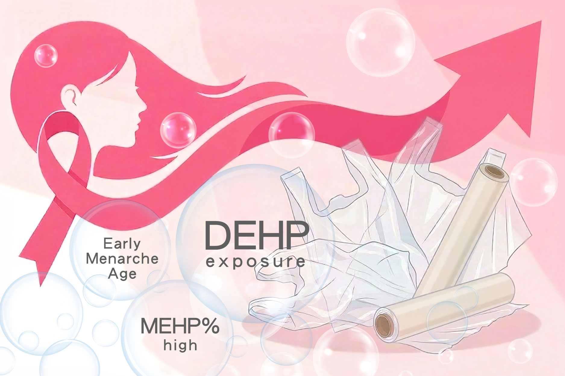 中研院與國衛院合作二十年追蹤研究證實塑化劑DEHP高暴露結合「代謝易感性」與初經較早會提高女性乳癌風險達七倍